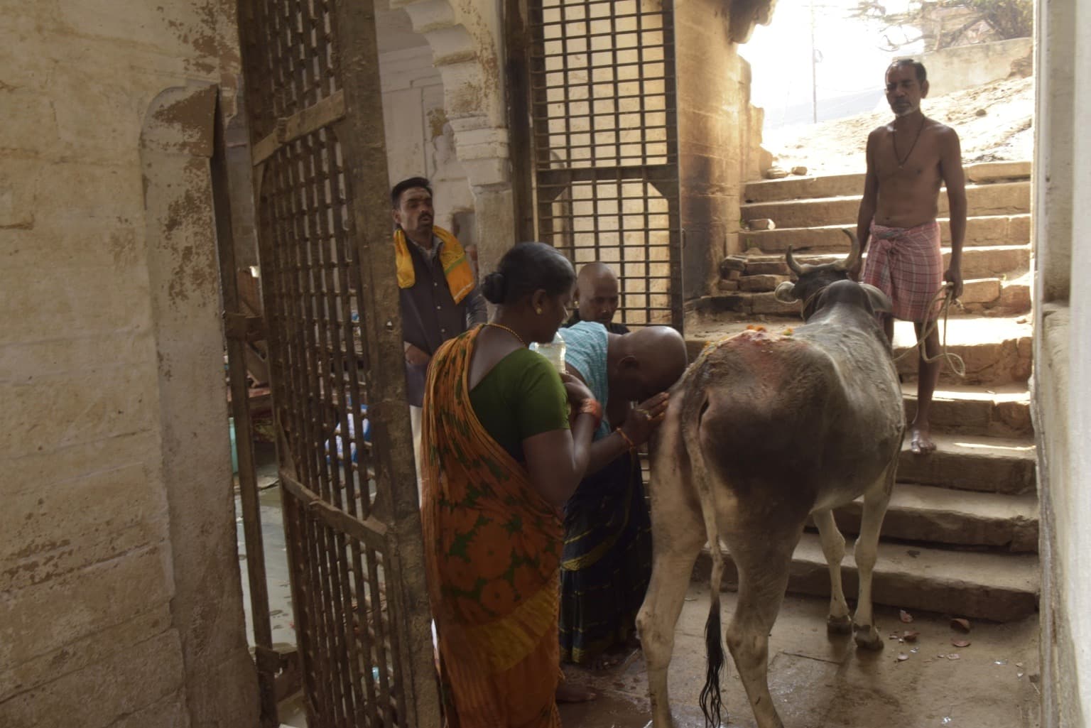 A man stands beside a decorated cow during a ritual scene in Varanasi, 2019