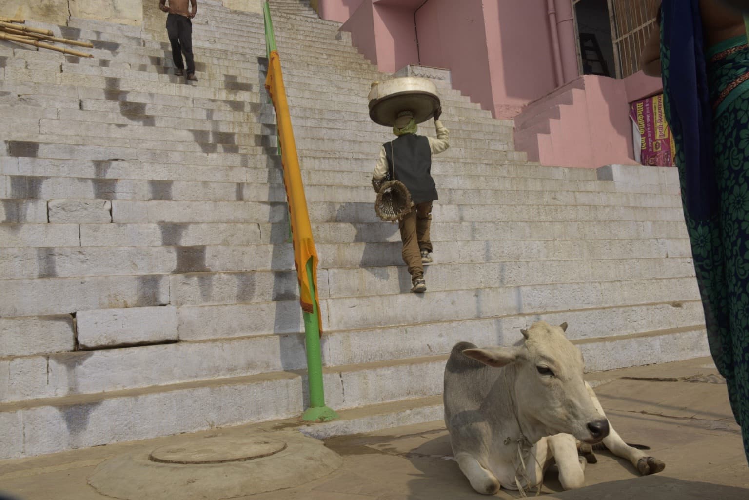 A cow rests at the foot of pale ghat steps while a person carries a load upward in Varanasi, 2019