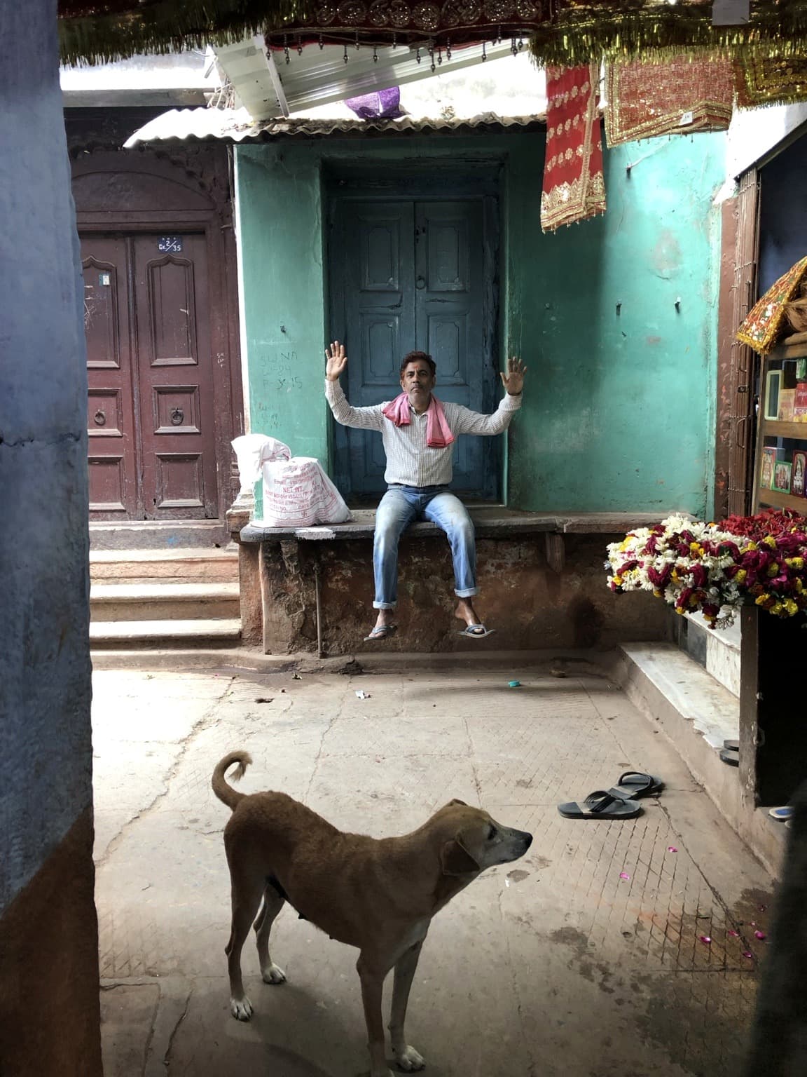 A dog stands in a small courtyard while a man sits in a turquoise doorway beyond, Varanasi, 2019