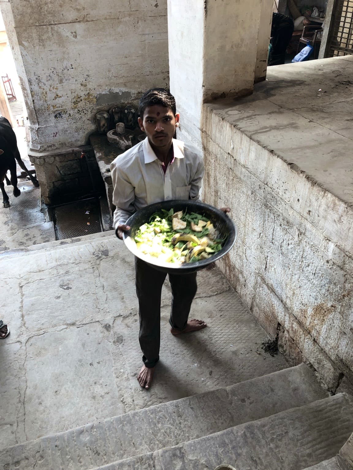 A man carries a broad metal tray of green produce up the stone steps in Varanasi, 2019