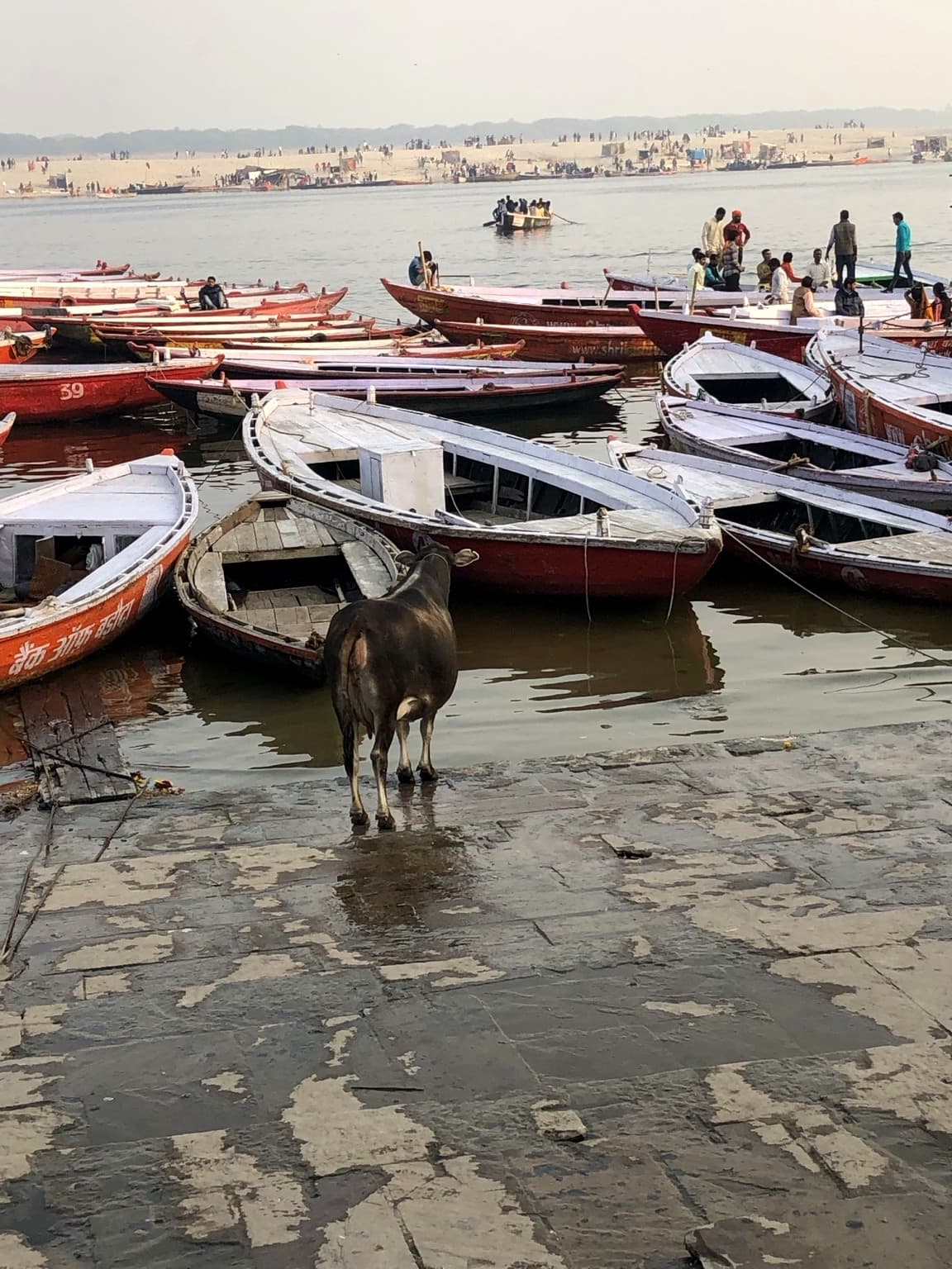 Three sadhus in yellow and orange robes sit together on stone steps along the ghats of Varanasi, 2019.