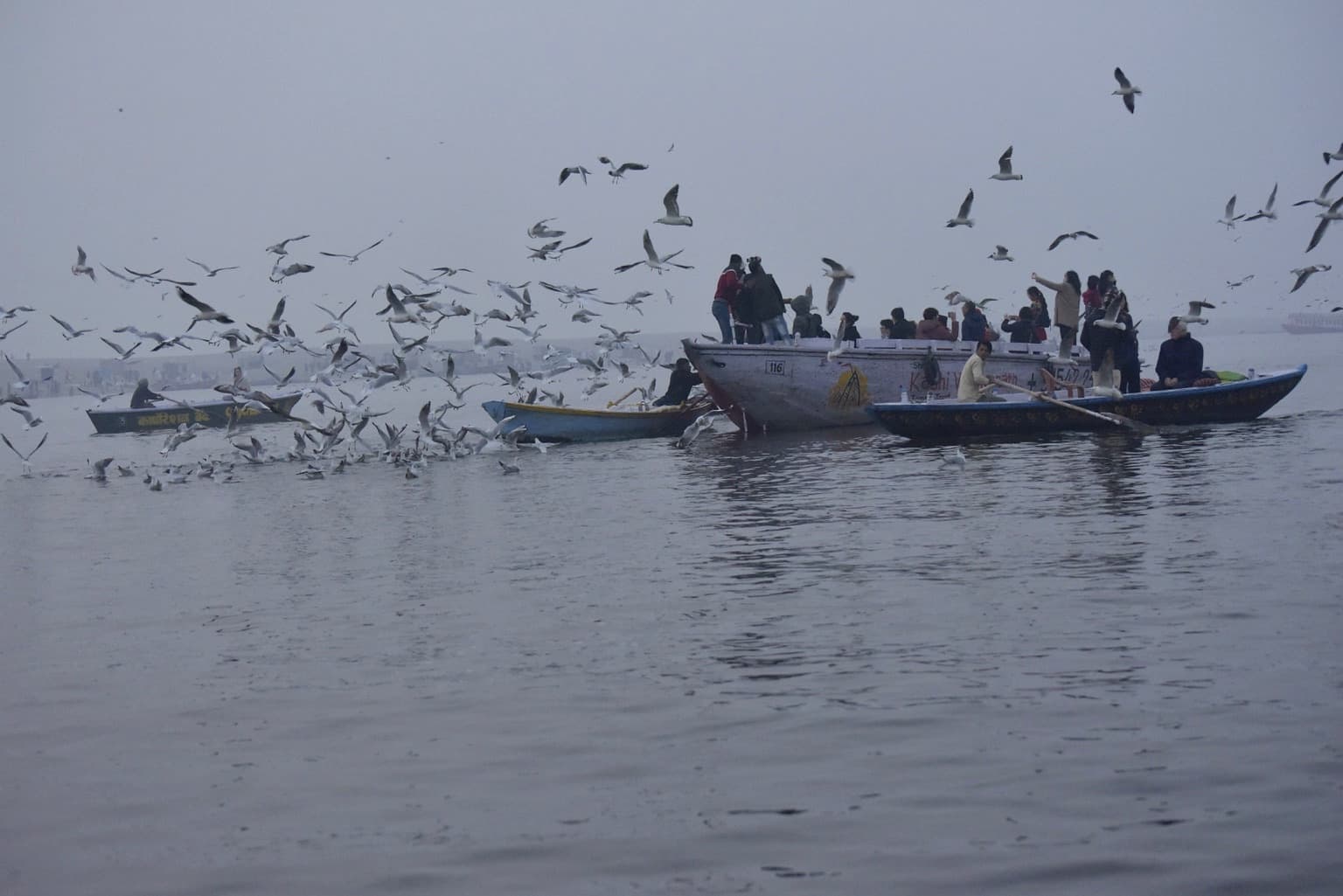 Several boats move through a broad flock of gulls low over the misty Ganges in Varanasi, 2019