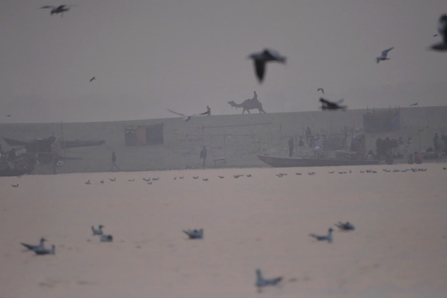 Across the hazy Ganges, a camel and rider move in silhouette along the far bank while birds cross the foreground in Varanasi, 2019