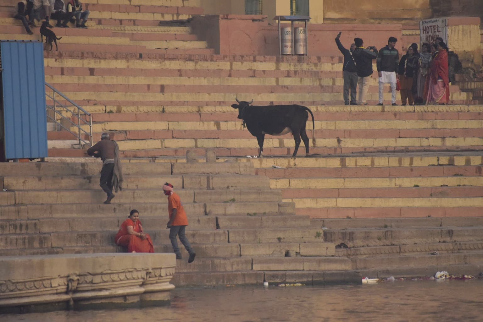 A black cow stands on broad striped ghat steps while people gather above and below it in Varanasi, 2019