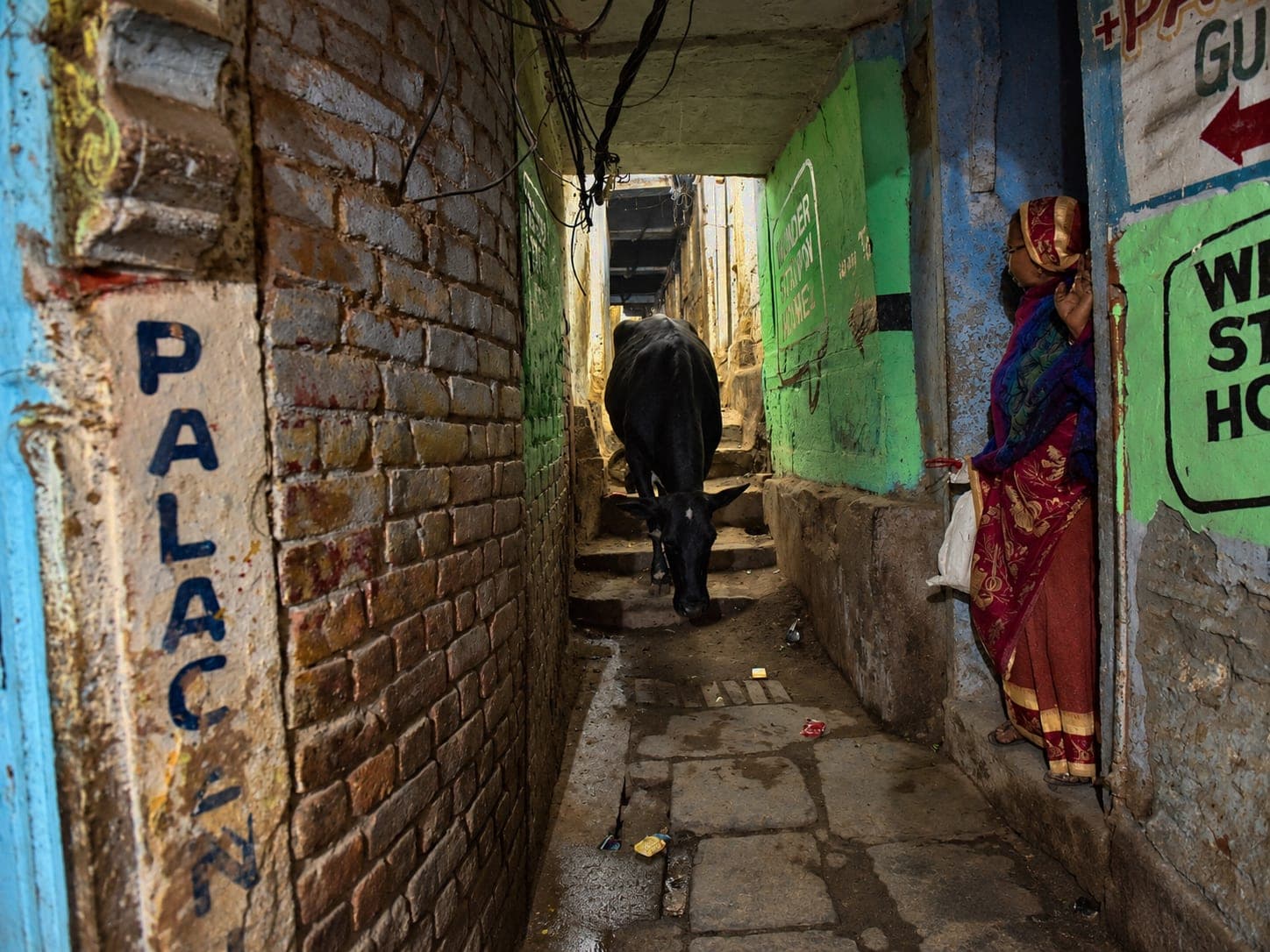 A large bovine moves through a narrow dim lane while a woman stands in a doorway in Varanasi, 2019