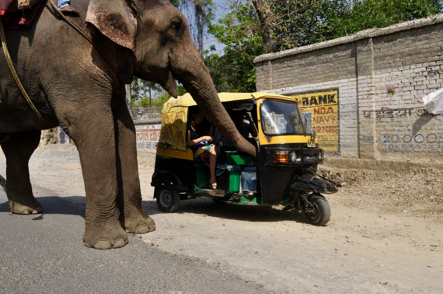An elephant beside an auto-rickshaw in Varanasi, photographed in 2014
