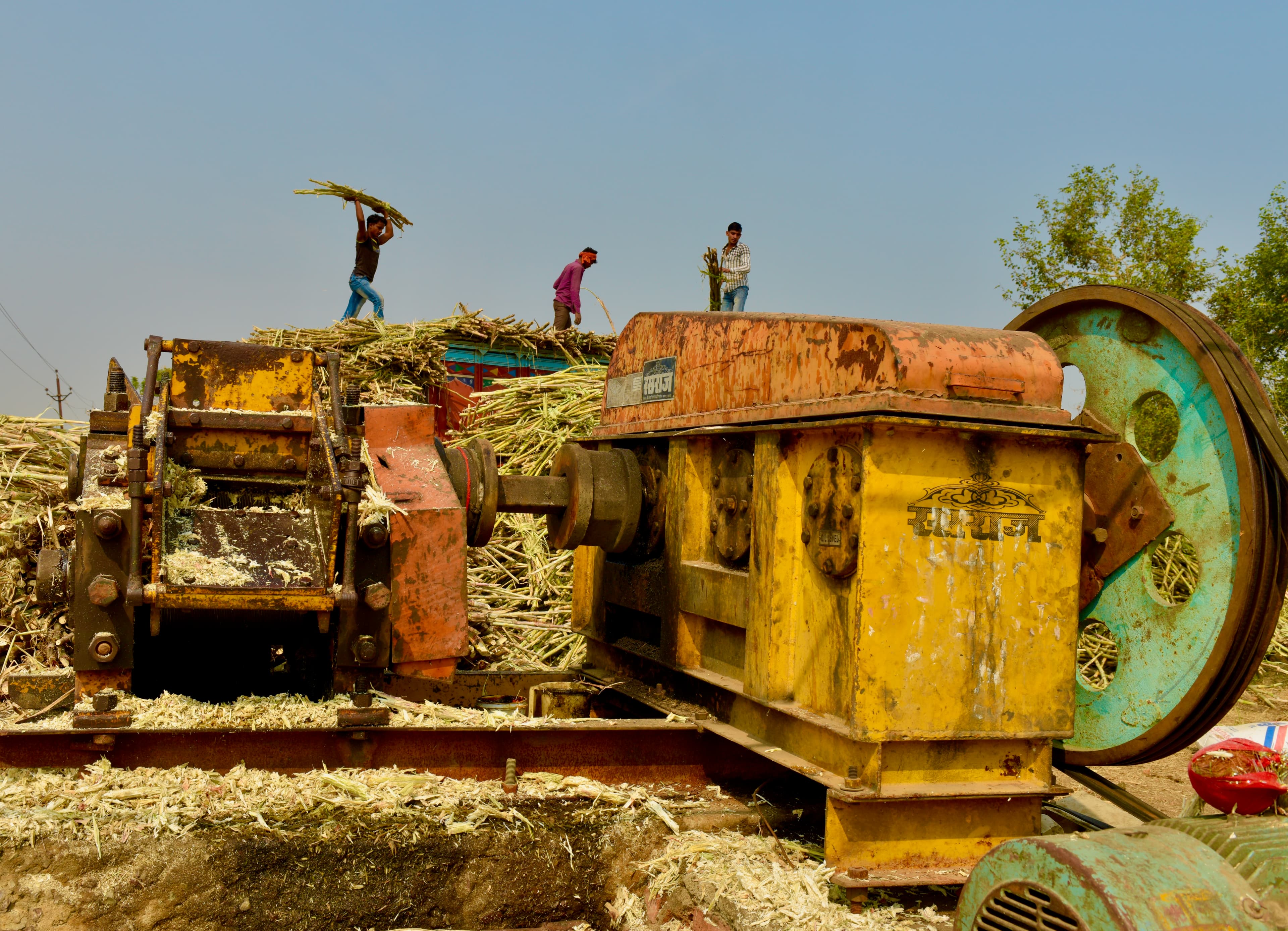 Large weathered cane crushing machine with workers handling cane behind it.