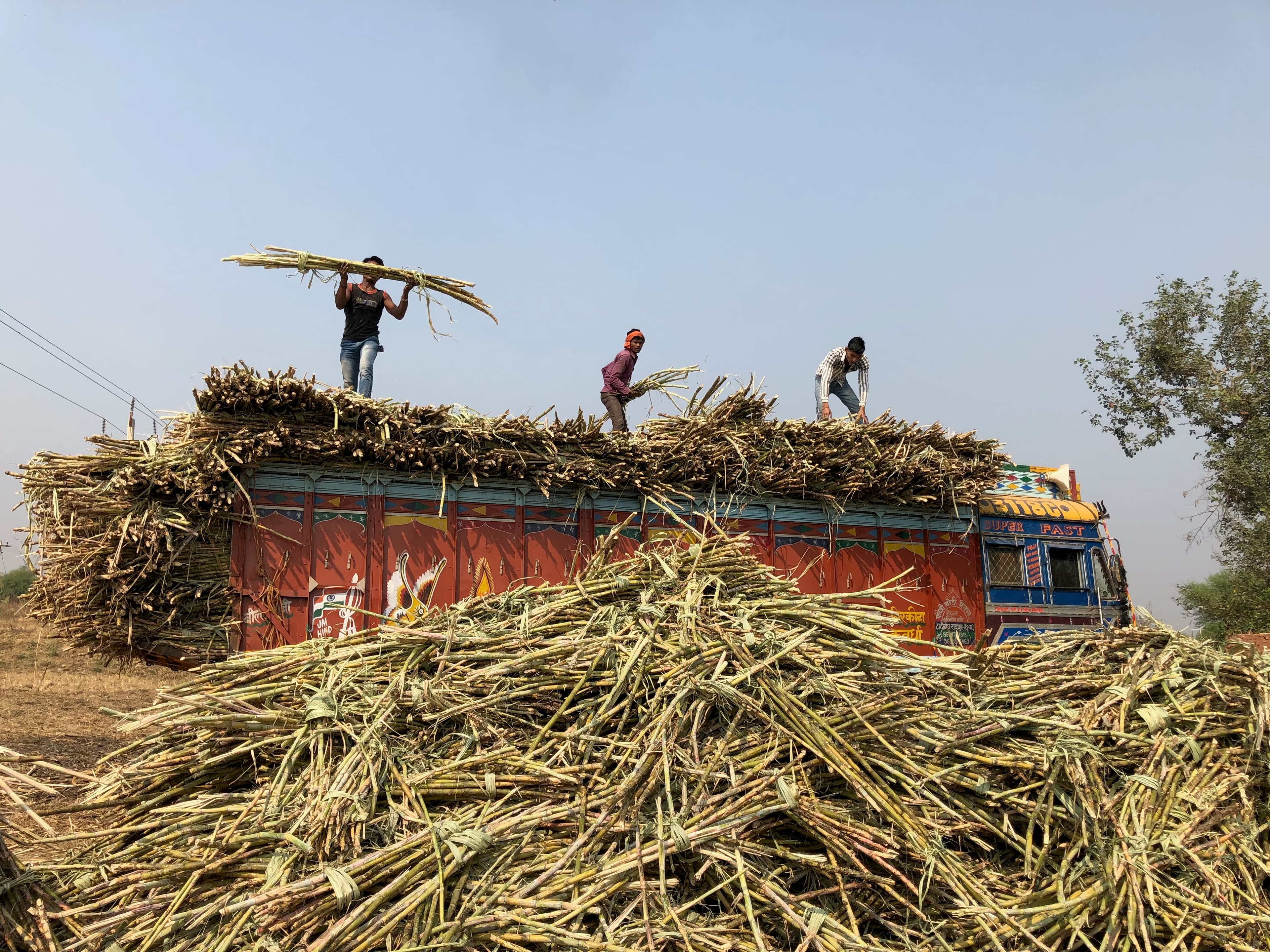 Decorated truck loaded with sugarcane and three workers on top.