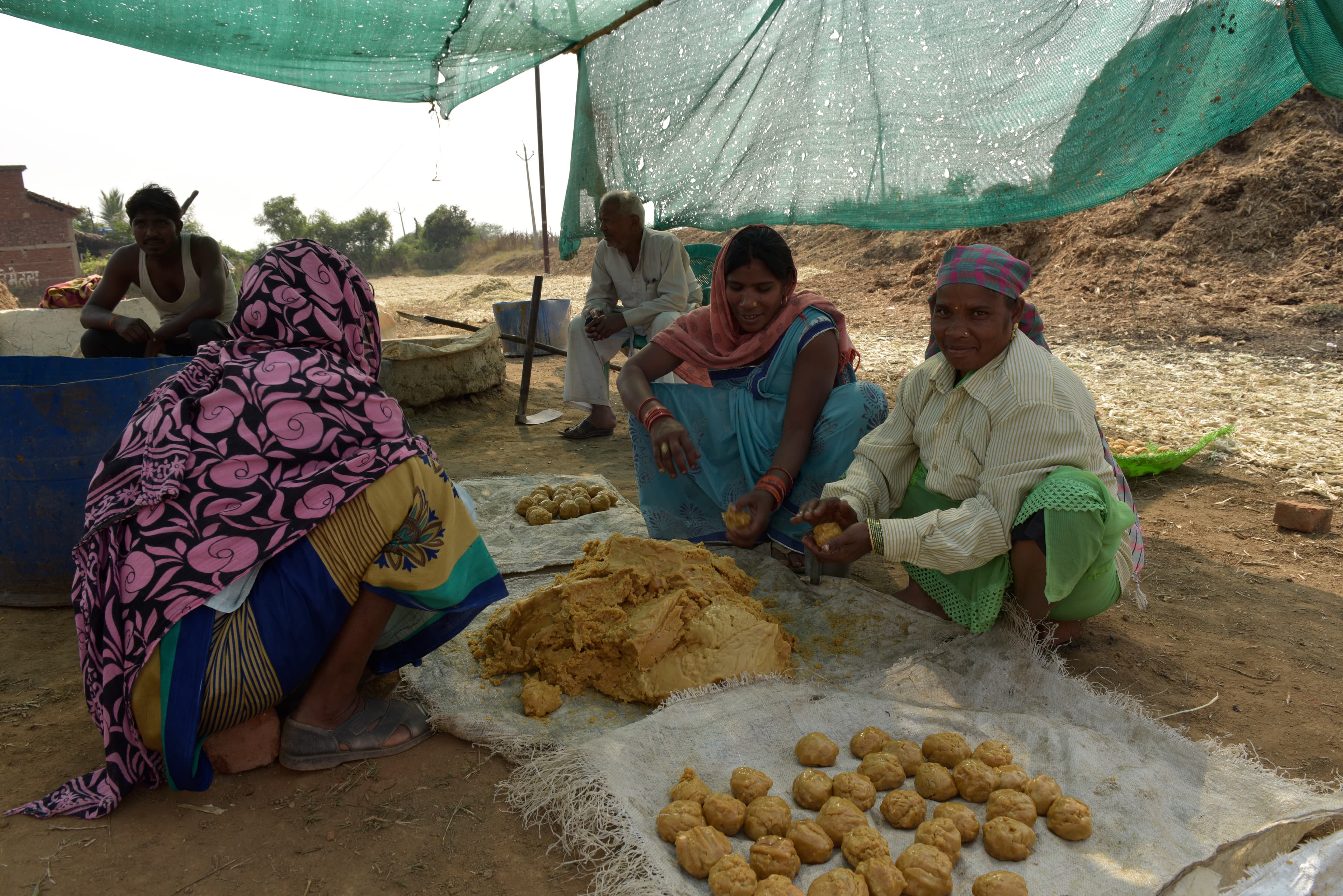 Women shaping jaggery under a green canopy with other people nearby.